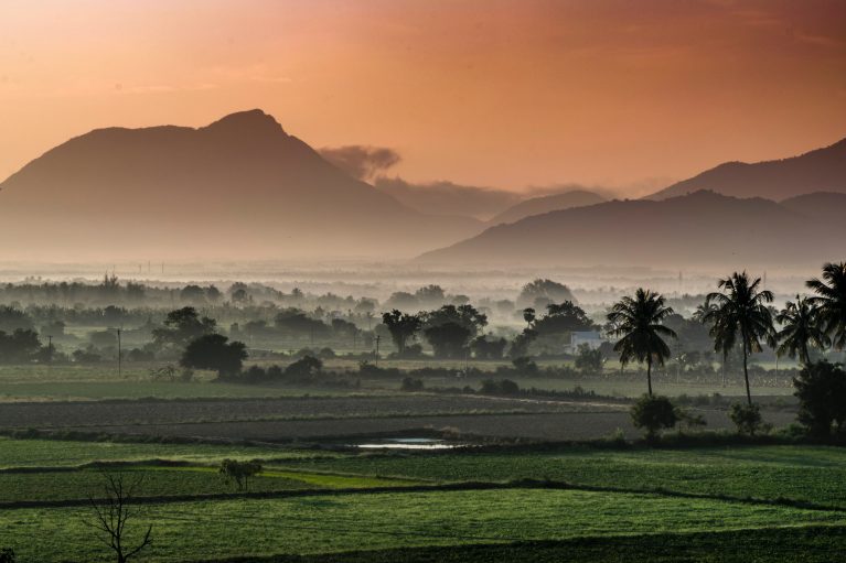 View of rice fields at dawn with mountains in the background