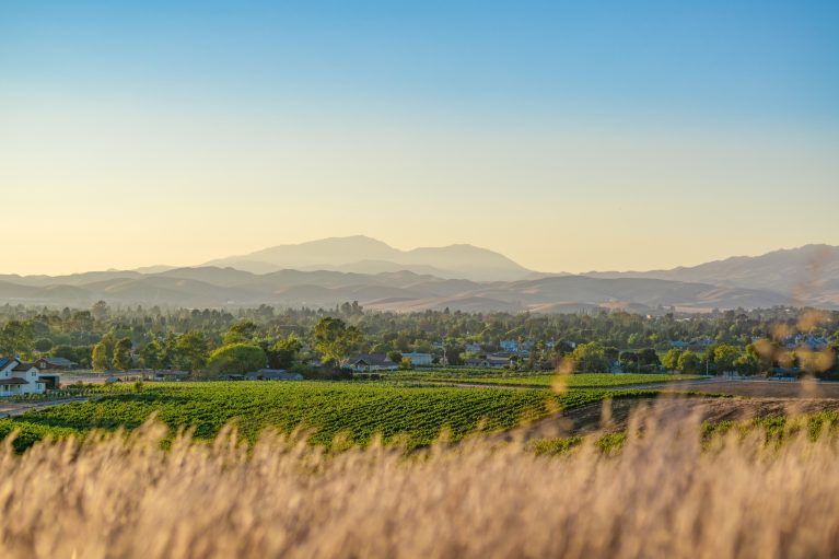 A sunset with mountains in the background overlooking a vineyard in Livermore, CA
