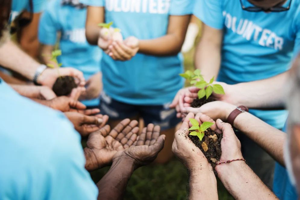 A closeup of a group of volunteers hands, holding small plants and soil